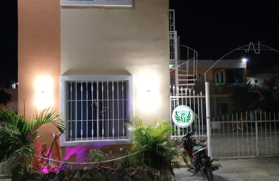 Ave Fenix Apartments-1