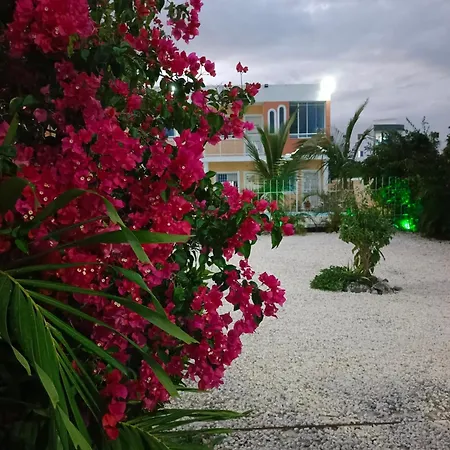 Ave Fenix Apartments-3